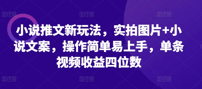小说推文新玩法，实拍图片+小说文案，操作简单易上手，单条视频收益四位数-墨韵博客