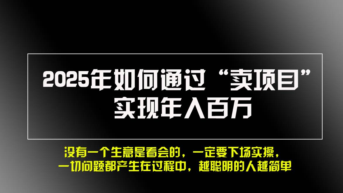 （13468期）2025年如何通过“卖项目”实现年入百万，做网赚必看！！-墨韵博客