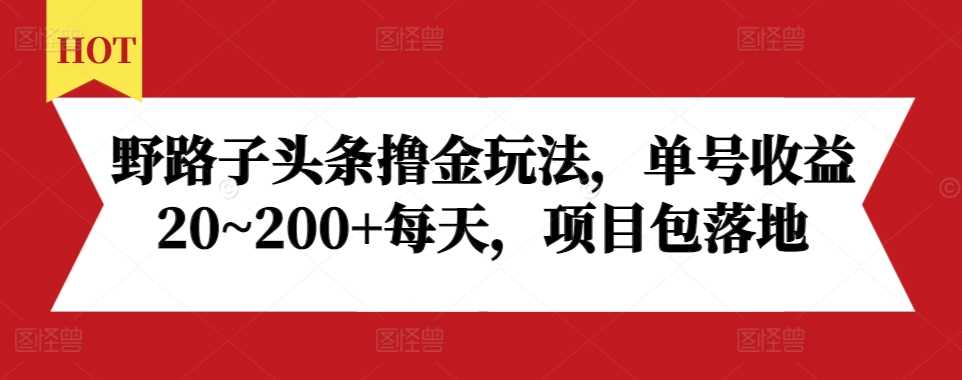 野路子头条撸金玩法，单号收益20~200+每天，项目包落地-墨韵博客
