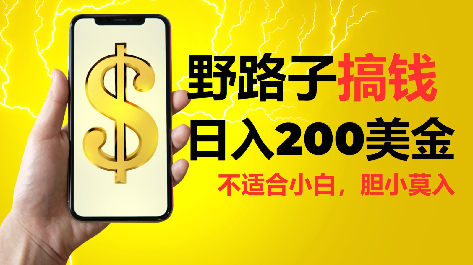 挂机野路子搞钱，日入200美金，路子很野，小白莫入-墨韵博客