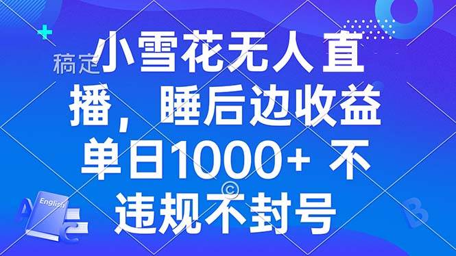 （13491期）小雪花无人直播 睡后收益单日1000+ 零粉丝新号开播 不违规 看完就会-墨韵博客