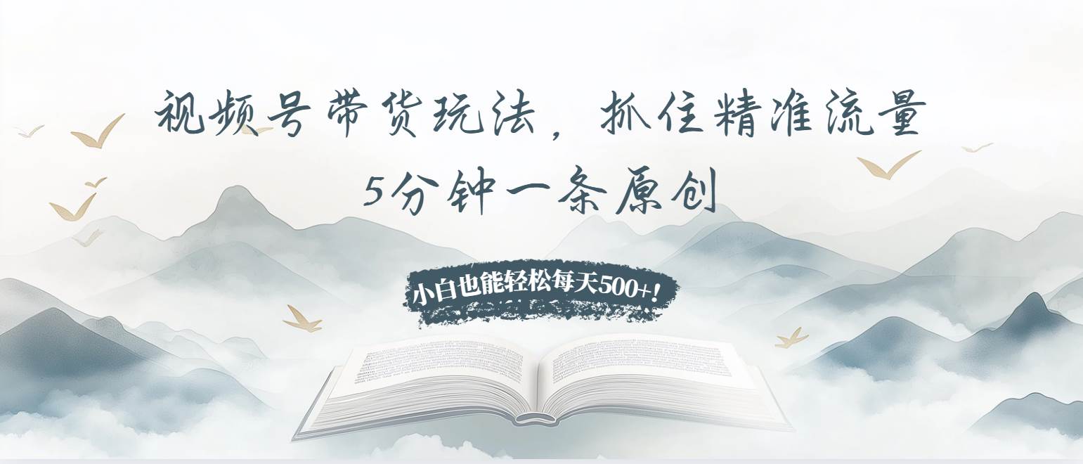 （13492期）视频号带货玩法，抓住精准流量，5分钟一条原创，小白也能轻松每天500+！-墨韵博客