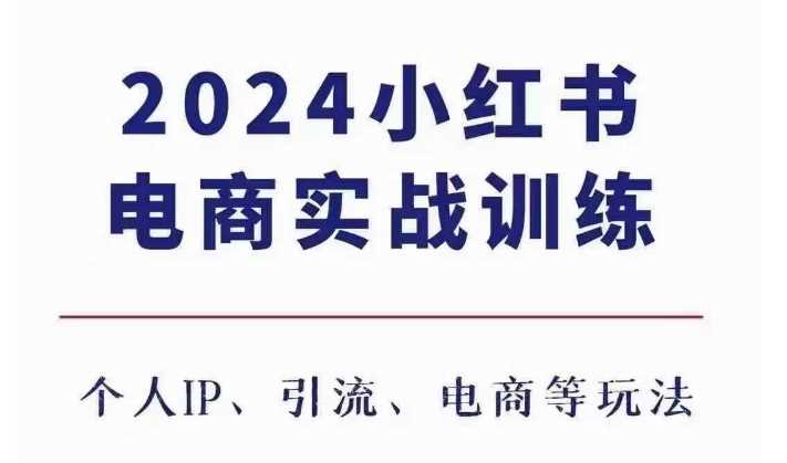2024小红书电商3.0实战训练，包含个人IP、引流、电商等玩法-墨韵博客
