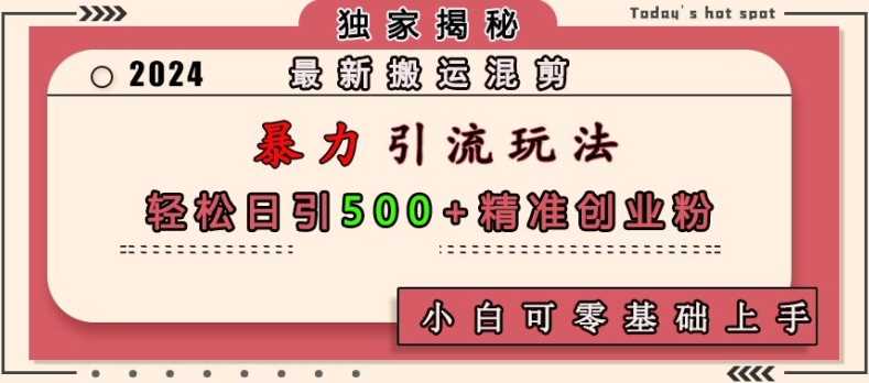 最新搬运混剪暴力引流玩法，轻松日引500+精准创业粉，小白可零基础上手-墨韵博客