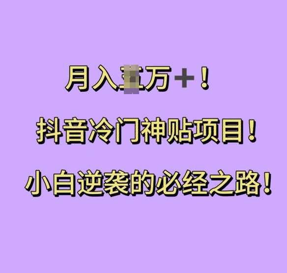 抖音冷门神贴项目，小白逆袭的必经之路，月入过W【揭秘】-墨韵博客
