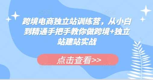 跨境电商独立站训练营，从小白到精通手把手教你做跨境+独立站建站实战-墨韵博客