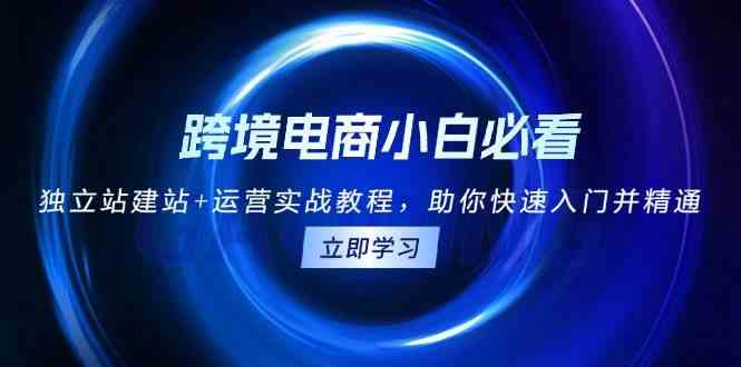 跨境电商小白必看！独立站建站+运营实战教程，助你快速入门并精通-墨韵博客