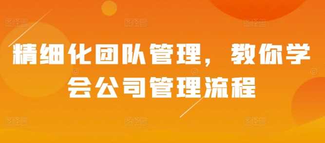 精细化团队管理，教你学会公司管理流程-墨韵博客