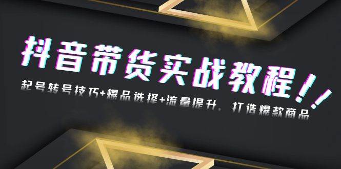 （13526期）抖音带货实战教程：起号转号技巧+爆品选择+流量提升，打造爆款商品-墨韵博客