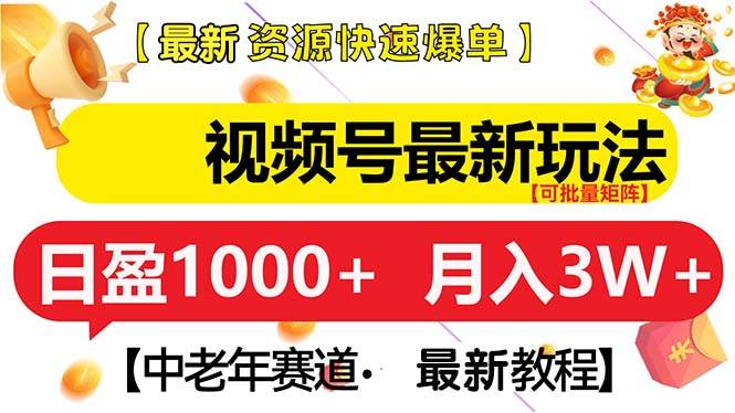 （13530期）视频号最新玩法 中老年赛道 月入3W+-墨韵博客