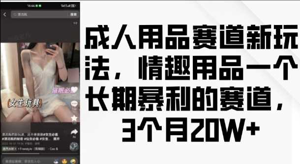 成人用品赛道新玩法，情趣用品一个长期暴利的赛道，3个月收益20个【揭秘】-墨韵博客