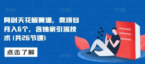 网创天花板赛道，卖项目月入6个，含独家引流技术(共26节课)-墨韵博客