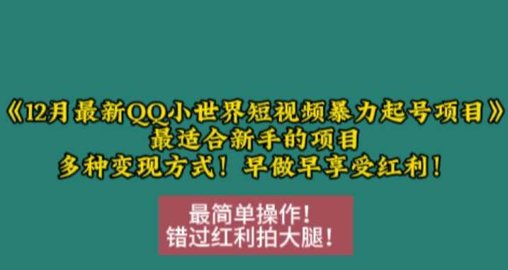 12月最新QQ小世界短视频暴力起号项目，最适合新手的项目，多种变现方式-墨韵博客