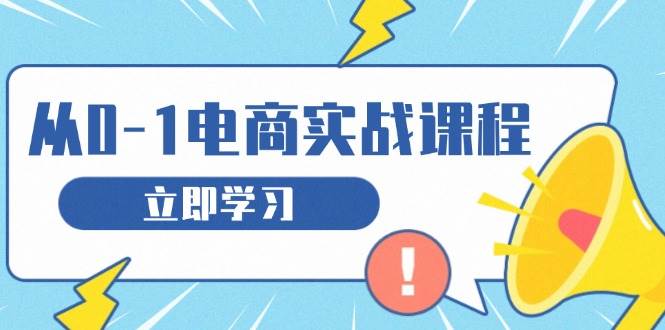 （13594期）从零做电商实战课程，教你如何获取访客、选品布局，搭建基础运营团队-墨韵博客