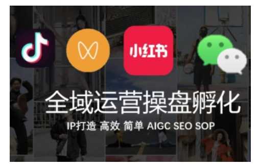全域运营操盘(抖音+私域+小红书)，IP打造高效简单-墨韵博客