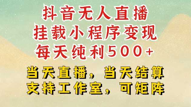 抖音无人直播挂载小程序变现每天纯利500+当天直播，当天结算支持工作室，可矩阵【揭秘】-墨韵博客