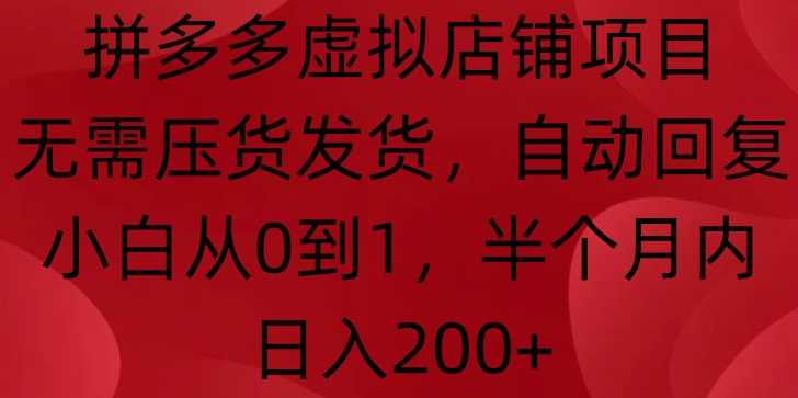 拼多多虚拟店铺项目，无需压货发货，自动回复，小白从0到1，半个月内日入200+【揭秘】-墨韵博客