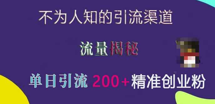 不为人知的引流渠道，流量揭秘，实测单日引流200+精准创业粉【揭秘】-墨韵博客