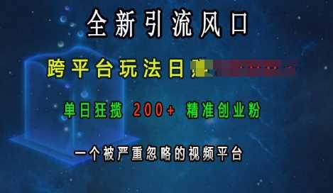 全新引流风口，跨平台玩法日入上k，单日狂揽200+精准创业粉，一个被严重忽略的视频平台-墨韵博客