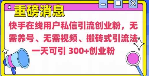 快手最新引流创业粉方法，无需养号、无需视频、搬砖式引流法【揭秘】-墨韵博客