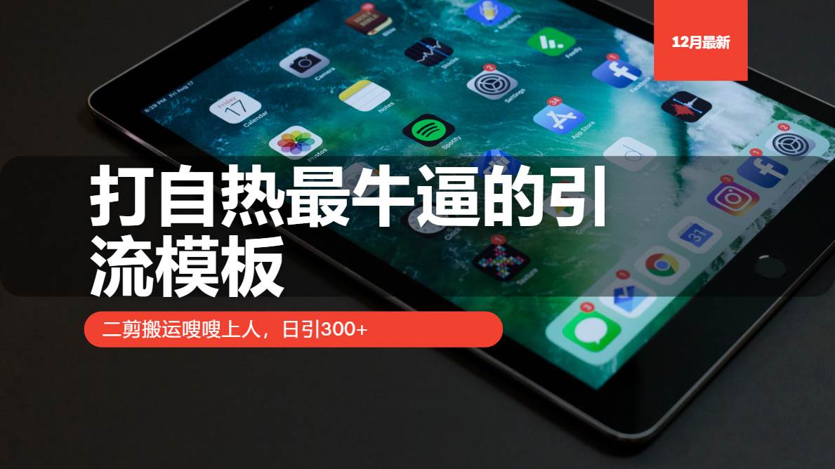 （13654期）打自热最牛逼的引流模板，二剪搬运嗖嗖上人，日引300+-墨韵博客