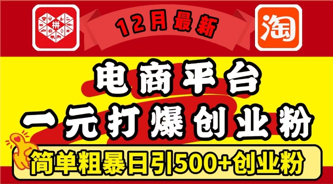 12月最新：电商平台1元打爆创业粉，简单粗暴日引500+精准创业粉，轻松月入过W【揭秘】-墨韵博客