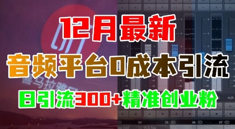 12月最新：音频平台0成本引流，日引流300+精准创业粉-墨韵博客