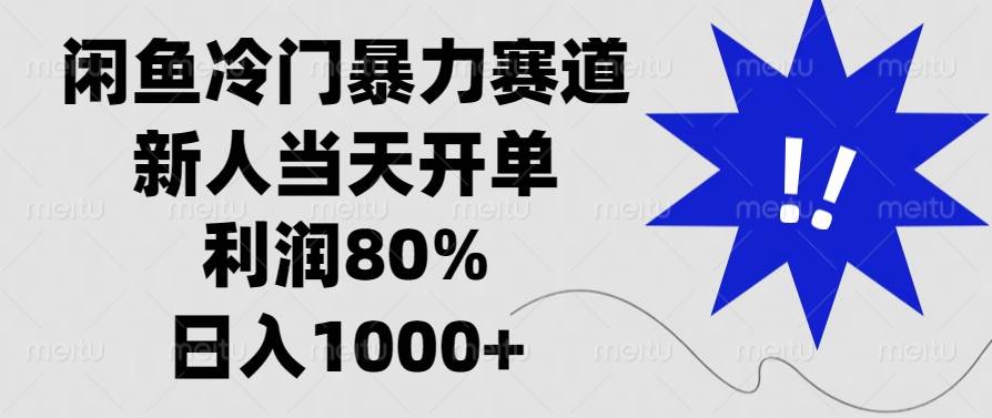 （13660期）闲鱼冷门暴力赛道，新人当天开单，利润80%，日入1000+-墨韵博客