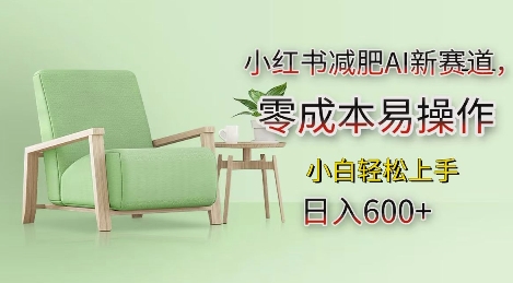 小红书减肥AI新赛道，零成本易操作，日入多张，小白轻松上手【揭秘】-墨韵博客