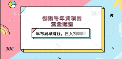 视频号年货项目，流量贼猛，早布局早挣钱，日入上k【揭秘】-墨韵博客