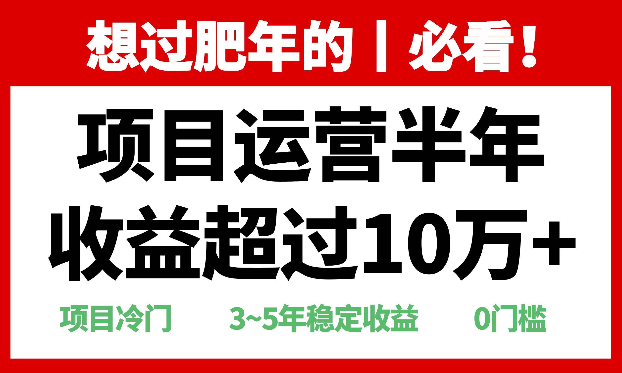 （13663期）年前过肥年的必看的超冷门项目，半年收益超过10万+，-墨韵博客