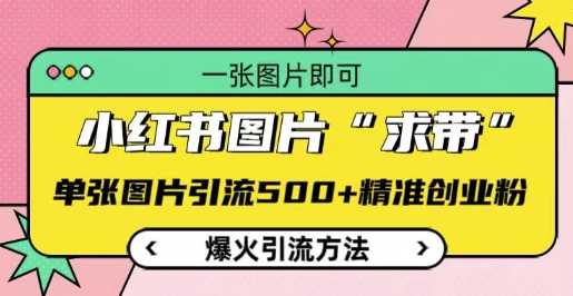 小红书图片‘求带’爆火引流法，单张图片引流500+精准创业粉【揭秘】-墨韵博客