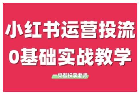 小红书运营投流，小红书广告投放从0到1的实战课，学完即可开始投放-墨韵博客