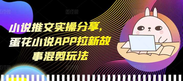 小说推文实操分享，蛋花小说APP拉新故事混剪玩法-墨韵博客