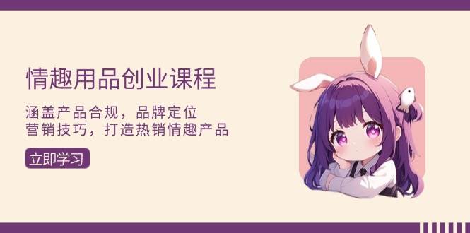 （13682期）情趣用品创业课程：涵盖产品合规，品牌定位，营销技巧，打造热销情趣产品-墨韵博客