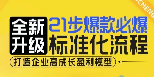 21步爆款必爆标准化流程，全新升级，打造企业高成长盈利模型-墨韵博客