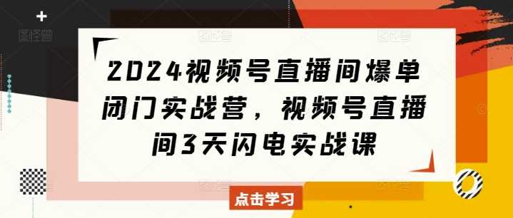 2024视频号直播间爆单闭门实战营，视频号直播间3天闪电实战课-墨韵博客