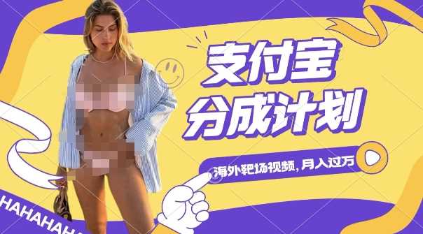 利用海外靶场射击视频，挣支付宝分成收益，轻松月入过W【揭秘】-墨韵博客