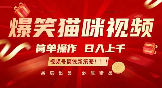 爆笑猫咪视频：简单操作，日入过K，视频号搞钱新策略【揭秘】-墨韵博客