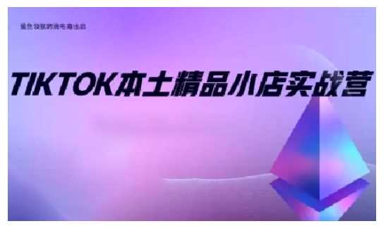 TikTok本土精品小店出海实战营，从入门到高阶，不止0-1!-墨韵博客