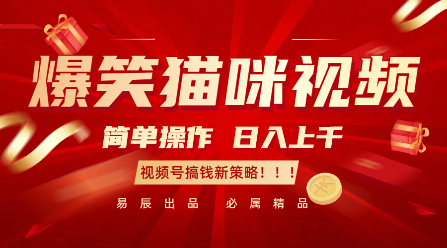 爆笑猫咪视频：简单操作，日入过千，视频号搞钱新策略！-墨韵博客