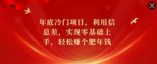 年底冷门项目，利用信息差，实现零基础上手，轻松赚个肥年钱【揭秘】-墨韵博客