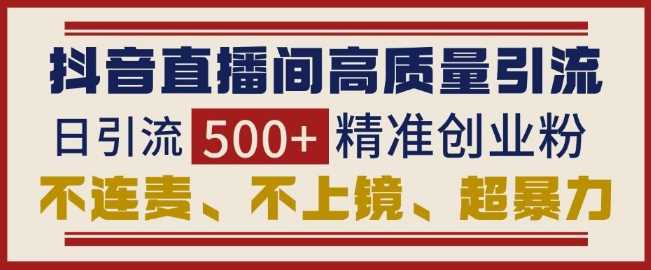 抖音直播间引流创业粉，无需连麦、不用上镜、超暴力，日引流500+高质量精准创业粉-墨韵博客