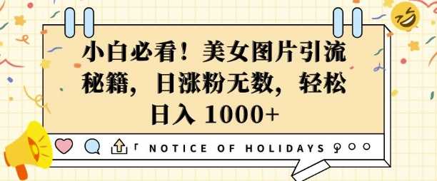 小白必看，美女图片引流秘籍，日涨粉无数，轻松日入几张【揭秘】-墨韵博客