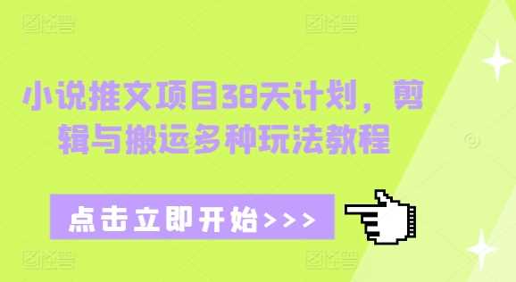 小说推文项目38天计划，剪辑与搬运多种玩法教程-墨韵博客