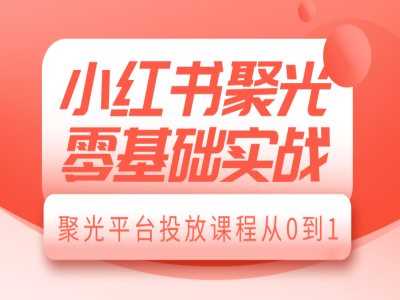 小红书聚光零基础实战，聚光平台投放课程从0到1-墨韵博客