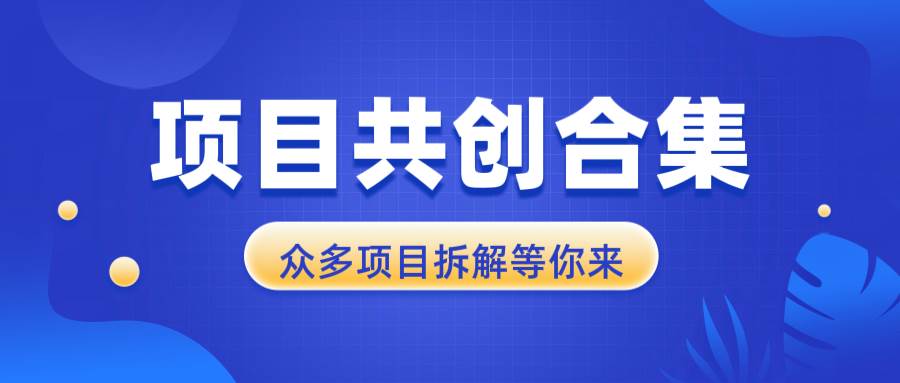 （13778期）项目共创合集，从0-1全过程拆解，让你迅速找到适合自已的项目-墨韵博客