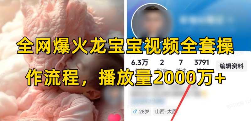 全网爆火龙宝宝视频全套操作流程，播放量2000万+-墨韵博客