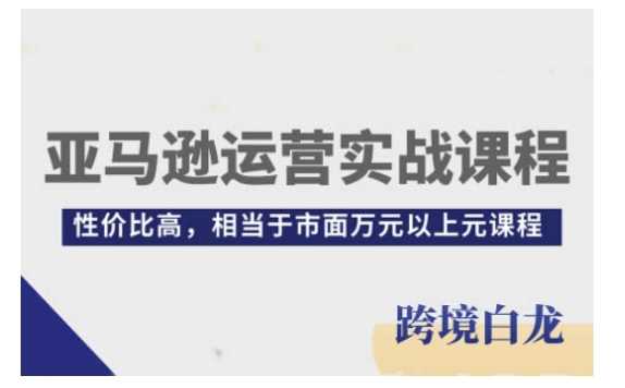 亚马逊运营实战课程，亚马逊从入门到精通，性价比高，相当于市面万元以上元课程-墨韵博客