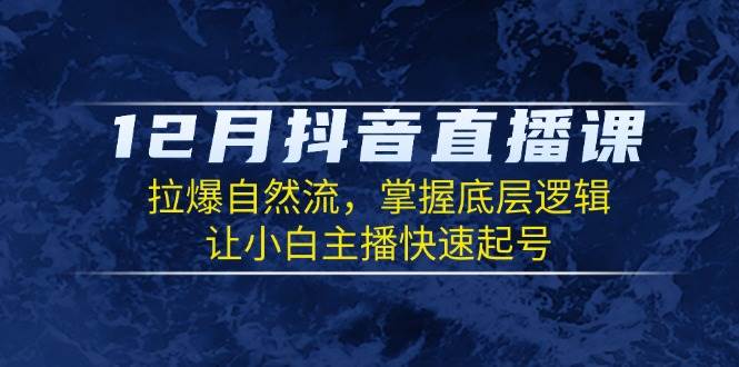 （13807期）12月抖音直播课：拉爆自然流，掌握底层逻辑，让小白主播快速起号-墨韵博客